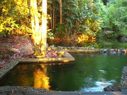 Persatuan rakyat marhaen indonesia), generally known by its acronym permai (meaning 'beautiful'), was a social movement in indonesia, functioning both as a political party and an abangan mystical association. Swimming Pool At Permai Picture Of Permai Rainforest Resort Kuching Tripadvisor