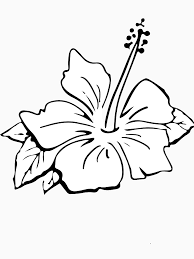 Minimalist Hibiscus Flower Line Art T Shirt By Designbykev Redbubble Line Art Art Essentials Hibiscus Flowers