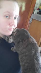 Siren Head x Cartoon Cat 😏😏