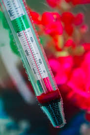 Free and fast shipping · shipping 10/10 · prices 10/10 How To Care For Saltwater Fish Care And Maintenance