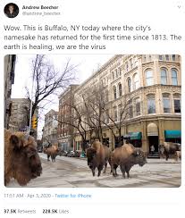 Twitter Makes Memes of News that "Nature is Healing" - FAIL Blog ...