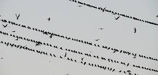 We've recieved letters from readers all over the us and we're here to answer every single questions you got for us! The Classic Cinema Quiz Answers My Neobux Portal