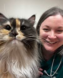 ❤️GREY❤️🐾💜wolfcat🐺