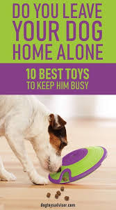Beautiful Dogs Toys Dogfoodreview Femaledogsaccessories Toys For Bored Dogs Dog Toys Best Dog Toys