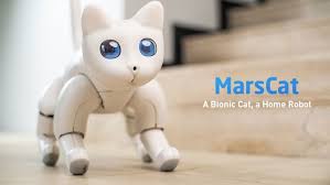 Marscat A Bionic Cat A Home Robot In 2020 Robot Cat Robot Cats