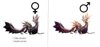 Speculative Idea for what a Female Mizutsune Looks like : r/MonsterHunter