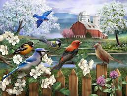 Editors of consumer guide jigsaw puzzles are al. Buy Factory Songbirds 500 Piece Jigsaw Puzzle Bird Jigsaws Spring And Birds Puzzles Grown Up Puzzles Educational Games Toys Gift Jigsaw Puzzle Online In Italy B0939yrvyx