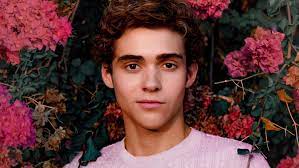 Starting at the age of seven, joshua has performed in over thirty musical theatre productions, and acted in numerous commercials/ short films. Is Joshua Bassett Gay The High School Musical Actor Thinks Harry Styles Is Hot Otakukart
