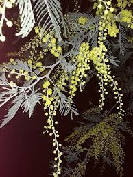 Casa en planta baja, ubicada en la calle de andalucía, 132 en algeciras, cádiz. E5r 6b8fc70axm