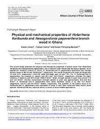 Image result for Nesogordonia