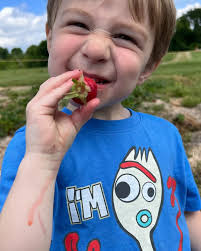 Grab your friends, bring the fam, and make a morning memory out in the  strawberry fields! The berries are a little smaller this time of year, but  that summer heat packs in