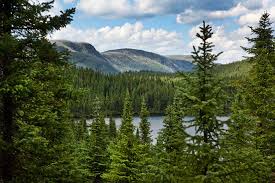 Parc National Des Grands Jardins Parcs Quebec Sepaq Parcs Parc National Grand Jardin