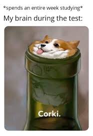 Corgi Corki Strikes Again Corkimains Best counter picks from the best data. corgi corki strikes again corkimains