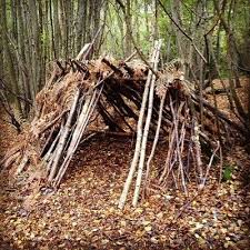 Let S Hide Out In Nature Fort Woods Trees Backyard Fort Kids Forts Backyard For Kids