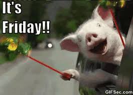 Oooh lol i read that as invisible pig and that confused me for a minute. Es Muy Simple Funny Pigs Funny Gif Cute Animals