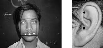 PDF] Multibiometrics Belief Fusion