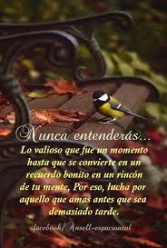Reflexiones Frases Bonitas Frases Positivas Frases