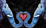 Cosmic Elephant Love Set (National Zoo Month)
