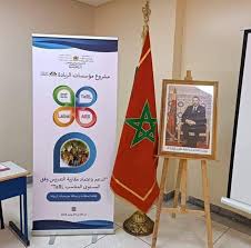 مؤسسات الريادة