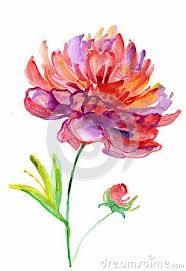 Watercolor Peony Watercolor Peonies Peonies Art Print Watercolor Flowers