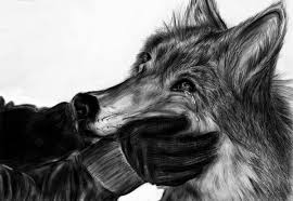 We did not find results for: Draw Cool Wolf Novocom Top