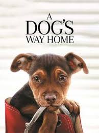 Home how it works downloads help. Movies In The Park A Dog S Way Home City Calendar City Of Minnetonka Mn
