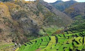 Je vindt in juli en januari voordeligere accommodaties in arcos de valdevez. The Best Available Hotels Places To Stay Near Sistelo Portugal