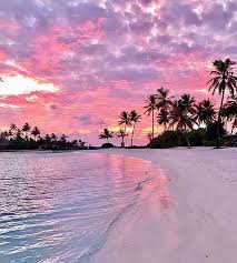 Real beautiful sunset wallpaper download. It Is Said That Without Breath There Is No Yoga Breath Is A Crucial Part Of Yoga And Meditation Without It You Ca Nature Photography Beautiful Nature Scenery