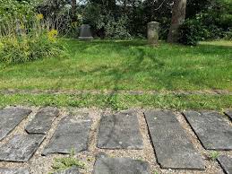 Jones “Jonas” Pettapiece (1799-1872)