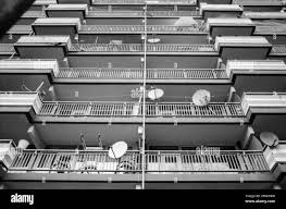 Image result for Amsterdam Gray 1970 Iso