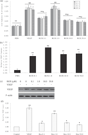 There are 3 types of zeros: Vegf Flk1 Mechanism Is Involved In Roxarsone Promotion Of Rat Endothelial Cell Growth And B16f10 Xenograft Tumor Angiogenesis Scientific Reports