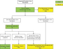 2014 Aha Acc Guideline For The Management Of Patients With