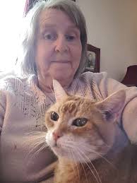 Eve ing everyone. After a nice sort of day it's been raining all evening.  That's how it should be. Nice in the daytime and a drop of rain at night.  We decided