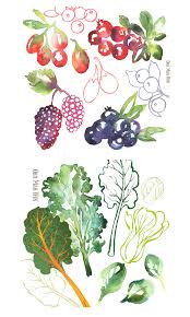 Superfood Groups Watercolor Illustration Berries Are High In Fibre And Are High In Antioxidants Illustration Watercolor Ideas Inspiration Ink Illustrations