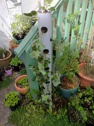 Create privacy or make the most of a small space with vertical gardening. Vertical Garden Pvc Pipe Planter Ideas Novocom Top