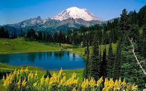 Hd Wallpaper Green Pine Trees Lake Landscape Mountains Fir Trees Summer Wallpaper Flare