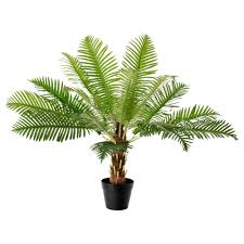 Mobilier Et Decoration Interieur Et Exterieur Fleurs Artificielles Ikea Decoration Plante Et Yucca Elephantipes