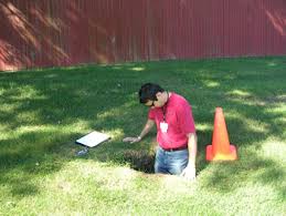 If it's a small hole, the fgs says to fill it with clean sand or soil. Debris Pits Dnrec Alpha