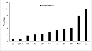 If the animal is in a closed or hard to reach area don't go near it. Cow And Herd Level Factors Associated With Lameness In Dairy Farms In Peninsular Malaysia Sciencedirect