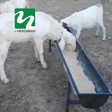 Pas Cher Mangeoire Pour Moutons Potable Abreuvoir Buveur D Eau Bol Abreuvoir Pour Moutons De Chevre Agneau Veau Acheter Cages Mangeoire Chevre Chevre Mouton