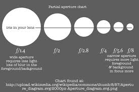 Photography 101 Part Iv Mood Board For How Yeast Works