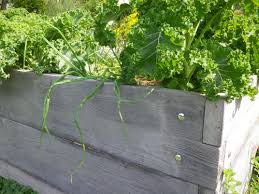 Natursteinhandel Hochbeet Aus Beton In Holzoptik Hochbeet Aus Beton Gartengestaltung Krautergarten Anlegen