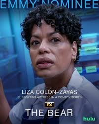 Productions filmed in Westchester County earned a combined 61 nominations  for the 77th Annual Emmy Awards, reinforcing the region's growing  reputation as a premier destination for film and television production.  From critically