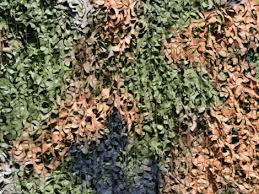 We ship australia wide and stock outdoor clothing, footwear and hunting equipment from hunters element, stoney creek, exped, scarpa, lowa, meindl. Hunting Gear Hunting Supplies In Australia Aussie Disposals