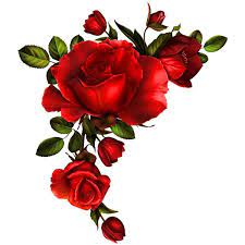 Lady In Black 93 Png Flower Art Flower Painting Flowers