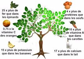 La Moringa A Ete Saluee Comme Un Arbre Miracle Car Est Une Source Importante De Graisses De Proteines De Ca Moringa Tree Moringa Cholesterol Lowering Foods