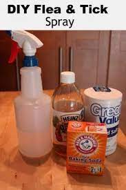 Homemade Flea Tick Spray For Pets Debt Free Spending Flea And Tick Spray Flea Remedies Flea Spray For Dogs
