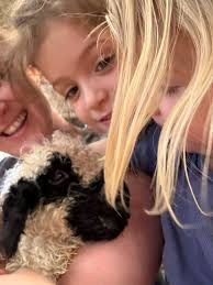 My tremendous trio 💙🩷💙 Welcome Vern, Vera and Vito! Lambing 2025 is  finished for the Valais! 🤍🖤🤍 Well done girls!