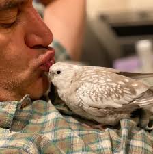 Eye Candy QA (2005-2011)