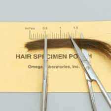 A standard hair follicle screen covers a period of approximately 90 days, but is susceptible to time variation depending on the growth rate of your hair. Issues With Hair Follicle Drug Testing Richmond Journal Of Law And Technology
